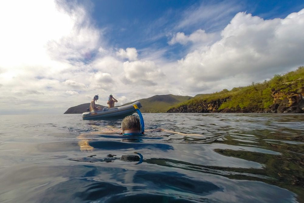 Snorkeling Trip ( 2 hours - 2 and a half hours )