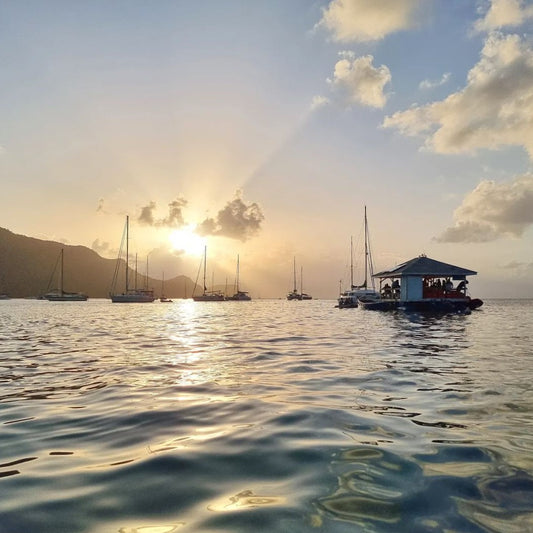 Snorkeling Trip ( 2 hours - 2 and a half hours )