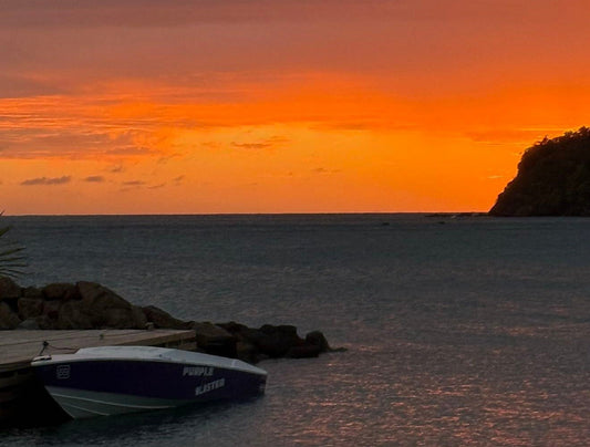 🌊 Swim With Turtles — Explore The Tobago Cays