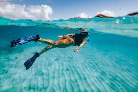 🌊 Swim With Turtles — Explore The Tobago Cays