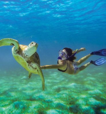 Snorkeling Trip ( 2 hours - 2 and a half hours )