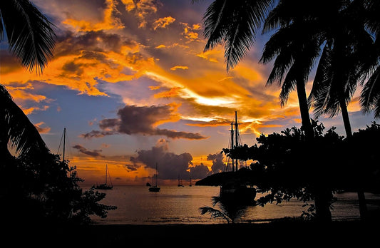 Sun Set Cruise